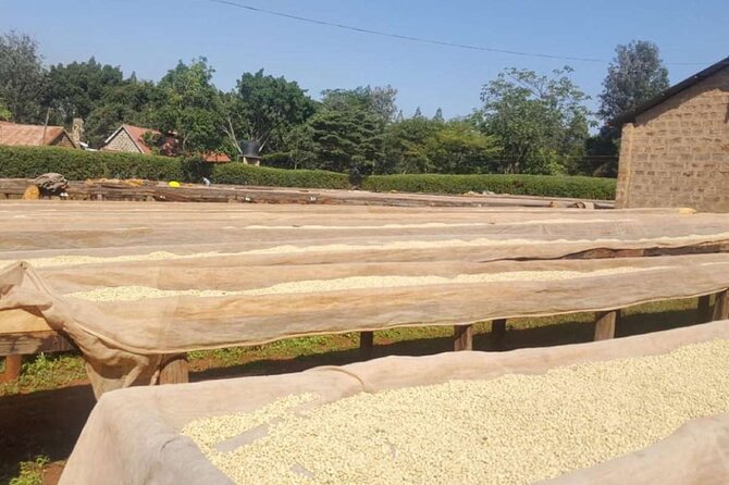 Private Coffee Farm and Factory Visit From Nairobi. - Inclusions