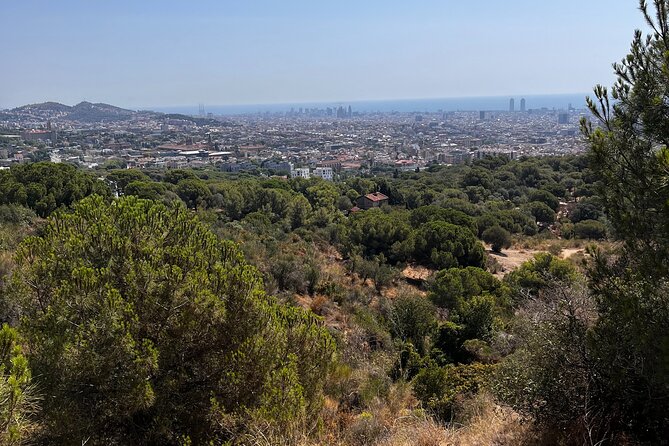 Private Collserola Hills Wildlife Hiking Tour
