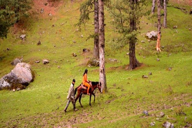 9 Best Guided Tours In Srinagar