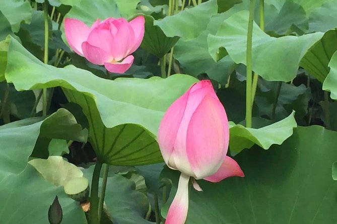 Private Day Tour in Kunming: Flower and Birds Market, Dianchi, Green Lake Etc.