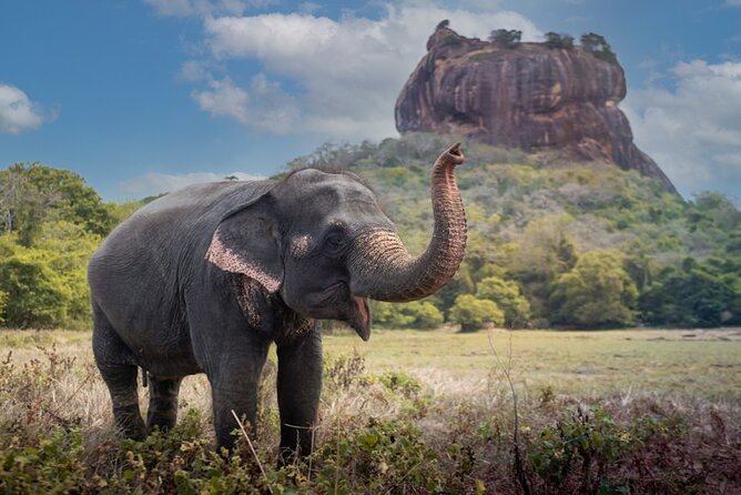 Private Day Tour Sigiriya & Dambulla Cave Temple With Entrance Fee & Lunch - Meeting and Pickup Details
