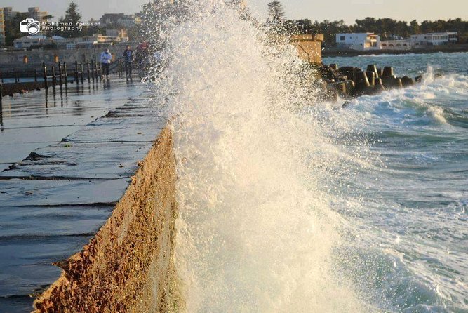 Private Day Tour to Alexandria From Alexandria