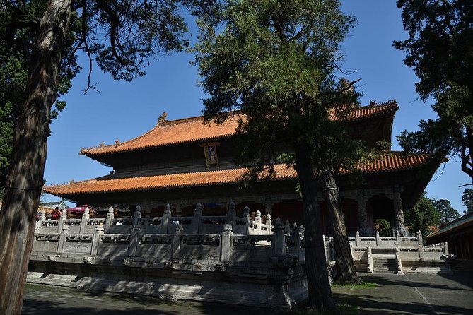 Private Day Tour to Confucius Home Town Qufu by Bullet Train From Beijing - Tour Highlights