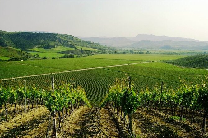 Private Day Tour to Krimisa With Wine Tasting