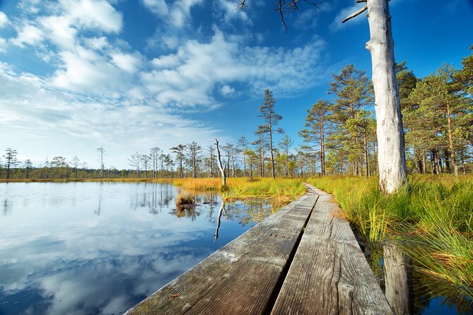 Private Day Tour to Lahemaa National Park From Tallinn - Tour Details