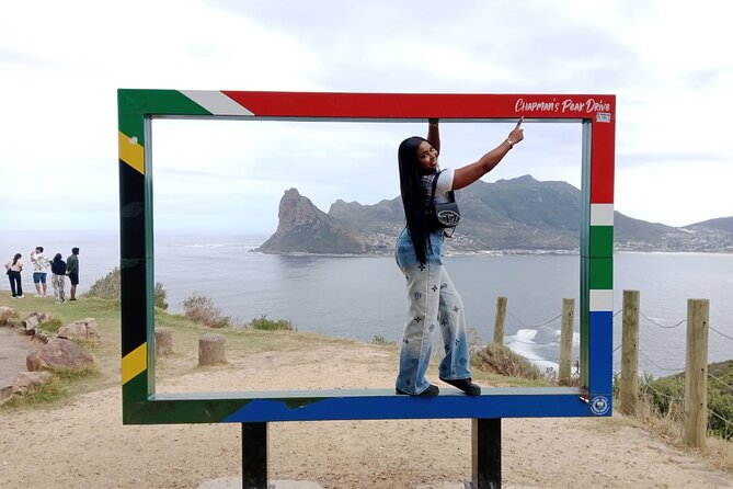 Private Day Tour to Table Mountain Cape of Good Hope and Penguin - Pickup Locations and Details