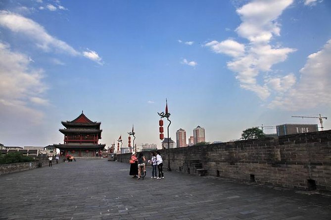 Private Day Tour to Xian From Shanghai by Air: Terra-Cotta Warriors &City Wall - Tour Overview