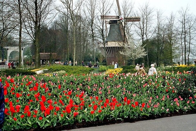 Private Day Trip to Keukenhof and Zaanse Schans - Tour Description