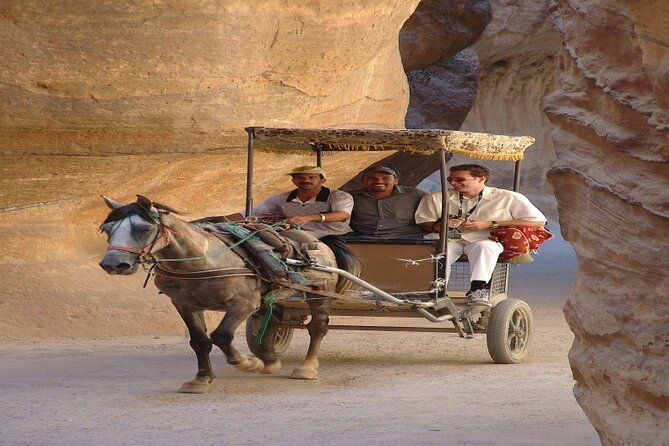 Private Day Trip to Petra From Amman - Tour Details