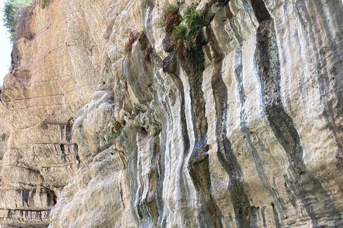 Private Day Trip to Wadi Tiwi, Fins Beach, Bimmah Sinkhole - Pickup Information