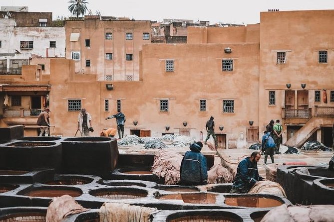 Private Driver and Historian Guided City Tour of Fez