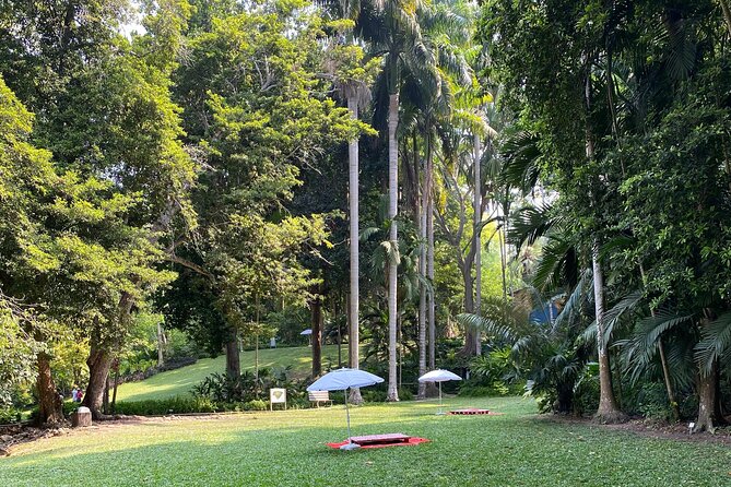 Private Experience in the Botanical Garden With Transportation Included - Customizable Transportation Options