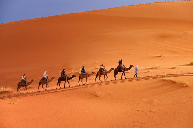 Private Exploring Merzougas Golden Dunes From Marrakech
