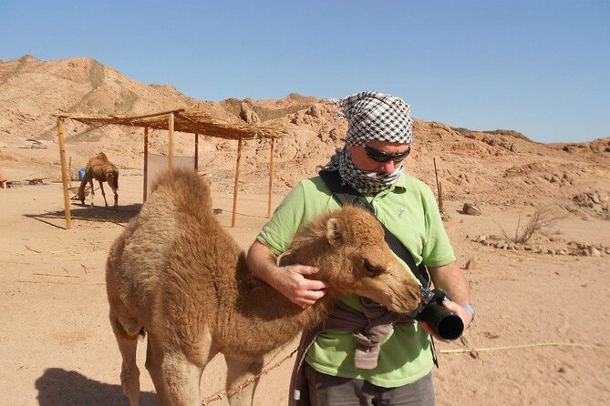 Private Full Day In Dahab From Taba Snorkel & Camel Ride With Lunch