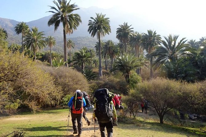 Private Full Day La Campana Hill Trekking Tour From Santiago - Itinerary Overview