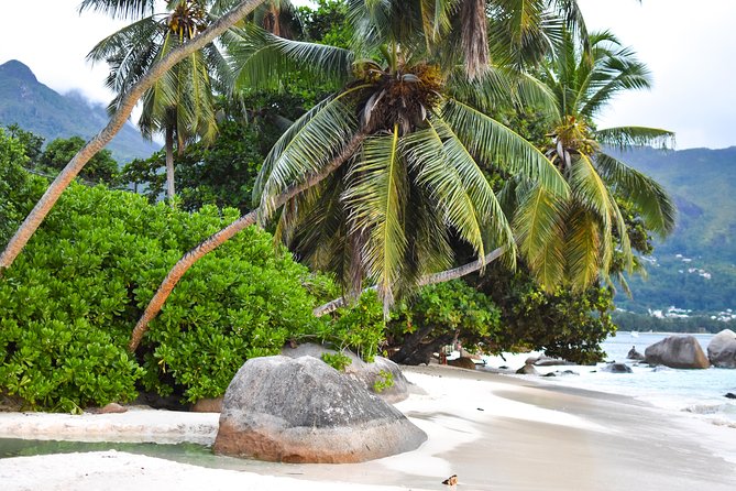 5 Best Full-Day Tours In Mahe