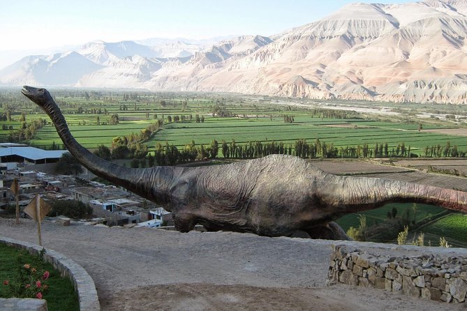 Private Full Day: Majes, Toro Muerto and Dinosaur Footprints. From Arequipa - Tour Details