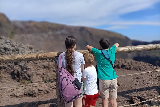 Private Full-Day Pompeii and Vesuvius Volcano Tour for Families - Booking Information