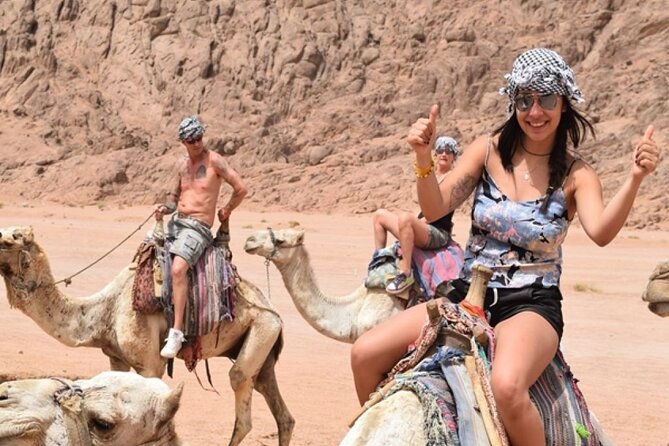 Private Full Day Snorkeling, Camel Ride With Lunch In Dahab From Sharm El Sheikh - Activity Details