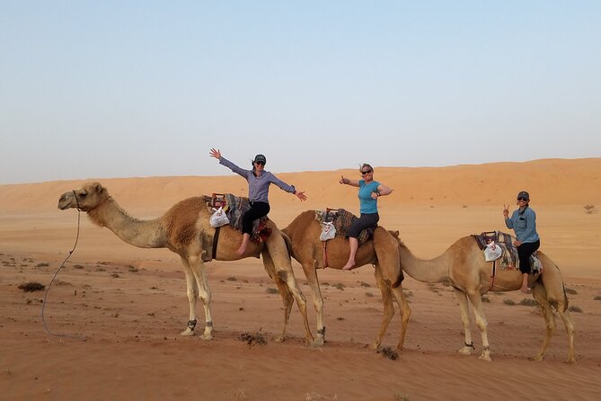 Private Full Day Tour Desert Dunes, Camels, and Wadi Bani Khalid - Tour Overview
