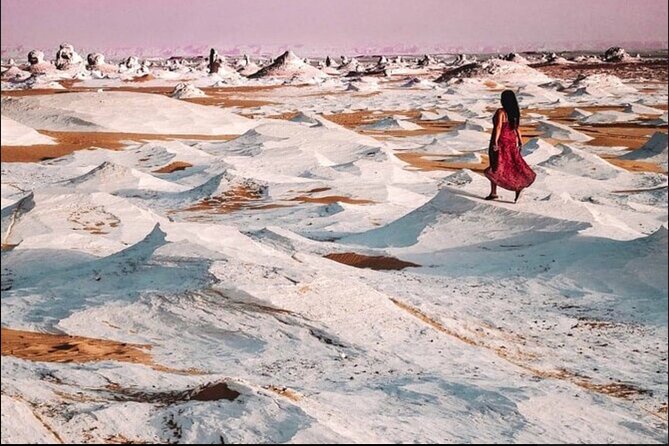 Private Full-Day Tour From Cairo - Visit Black and White Deserts - Inclusions