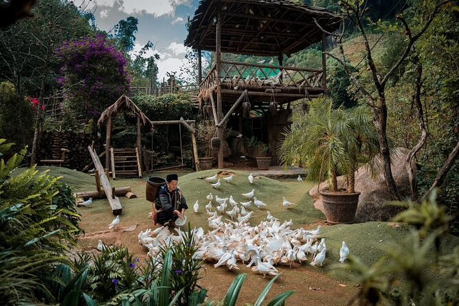 Private Full Day Tour in Sapa by Car - Tour Highlights