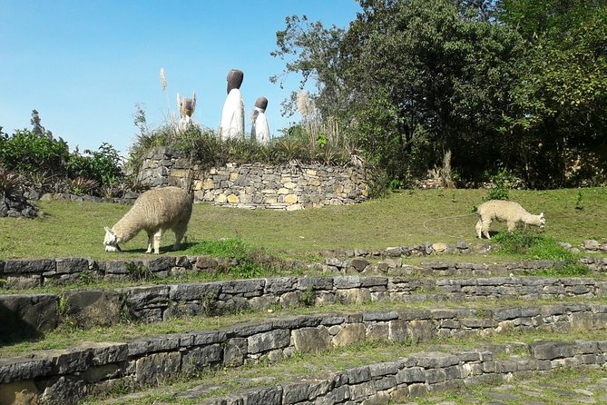 Private Full-Day Tour to Leymebamba Museum and Revash - Tour Details