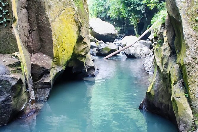 Private Full Day Ubud Experience