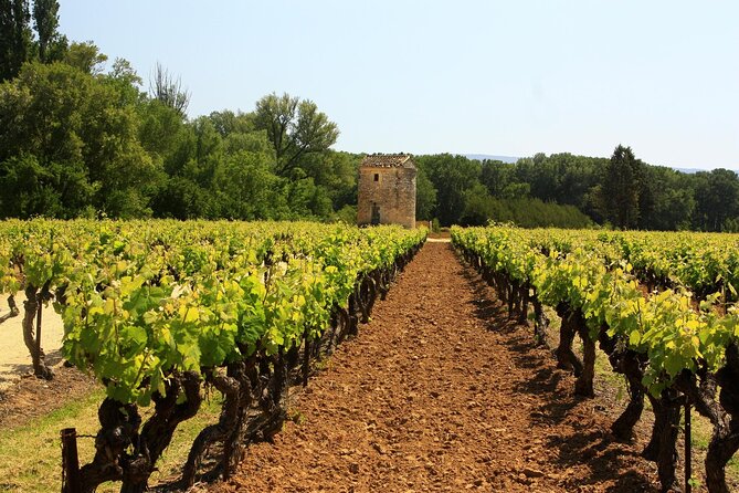 Private Full-Day Vintage Grape Harvest Festival With Lunch - Festival Overview