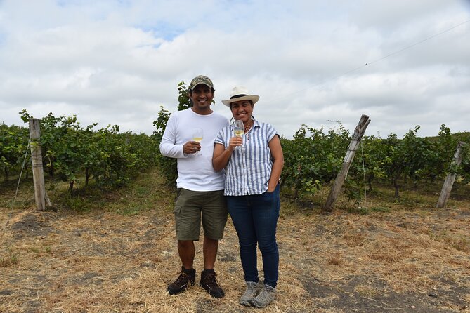 Private Full-Day Winery Experience - Experience Details