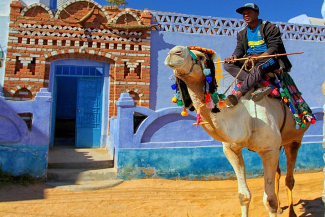Private Guided Day Tour to Aswan and Nubian Village From Luxor by Car - Accessibility Information