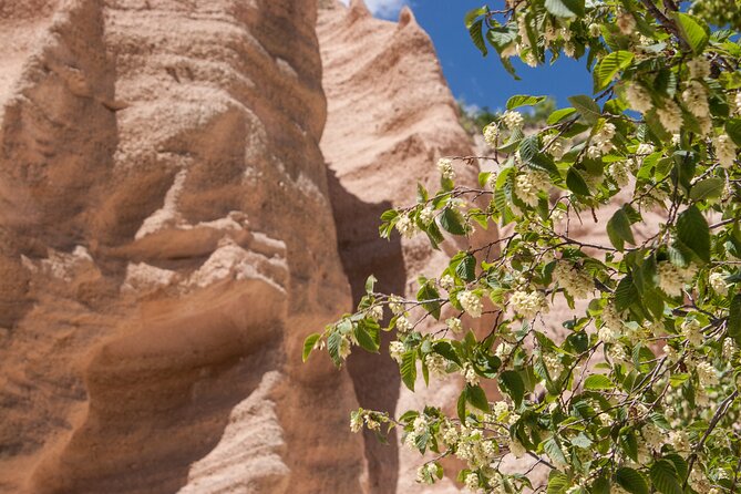 Private Guided Excursion to the Lame Rosse Di Fiastra - Details