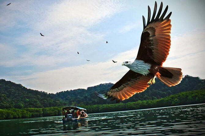 Private Guided Tour and Eagle Watching in Southern Island Geopark - Tour Details