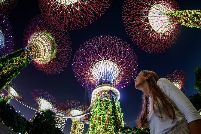 Private Guided Tour in Iconic Singapore - Tour Inclusions