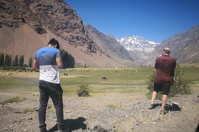 Private Guided Tour in Maipo Canyon With Winery - Tour Highlights