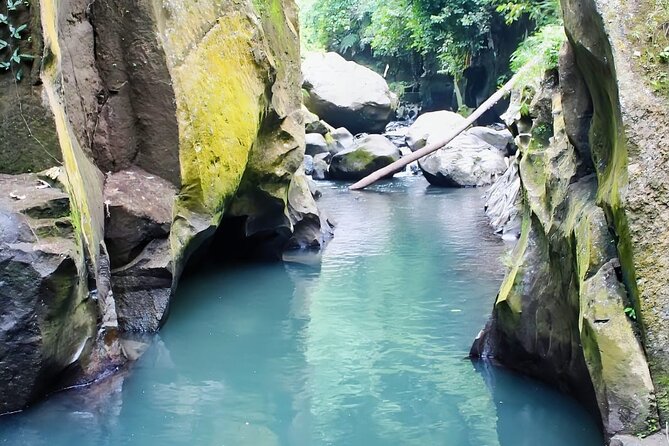 Private Guided Ubud Tour - What To Expect