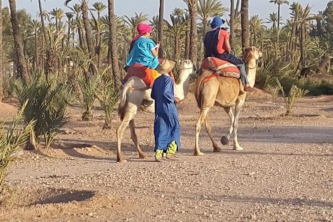 Private Half Day Quad & Camel Adventure in Marrakech