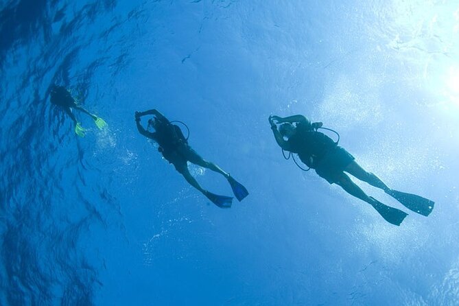 Private Half-Day Snorkeling in Hurghada Red Sea - Trip Details