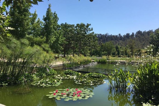 Private Half Day Tour in Santiago - Reviews