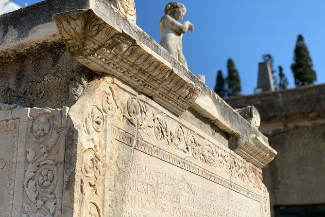 Private Herculaneum Ruins Archeological Exploration! - Benefits of Private Tour