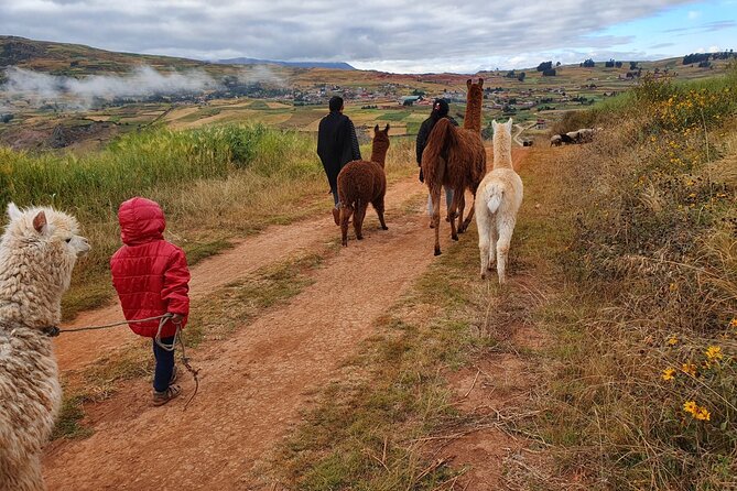 Private Hike With Llamas in the Andes of the Sacred Valley - Activity Details