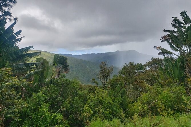 Private Hiking Experience in Black River Gorges National Park - Activity Details