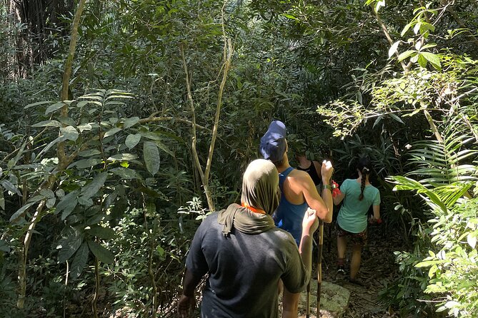 Private Hiking in Masingini Forest From Stone Town - Activity Information