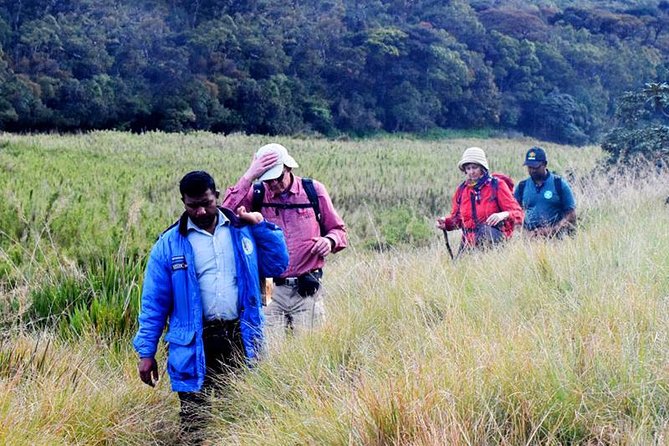 Private Hiking Tour to Kirigalpoththa Mountain via Horton Plains