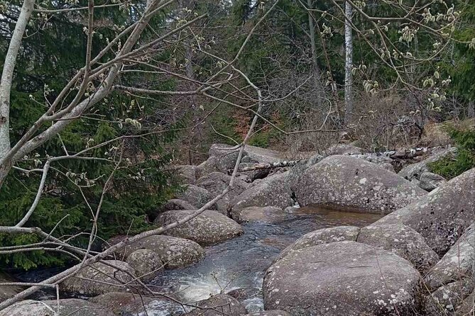 Private Hiking Trip to the Black Peak in Vitosha Mountain - Location Details