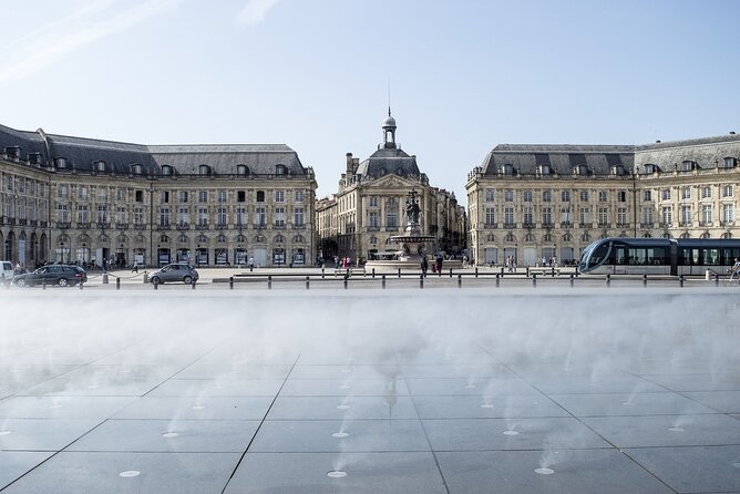Private Historic Walking Tour in Bordeaux - Tour Overview