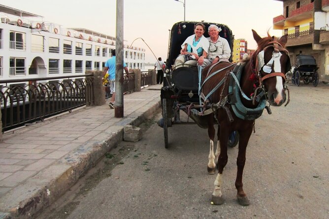 Private Horse Carriage Tour in Aswan City - Operator Information