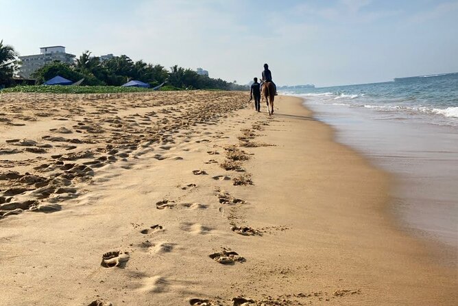 Private Horse Riding in Mount Lavinia - Accessibility Information