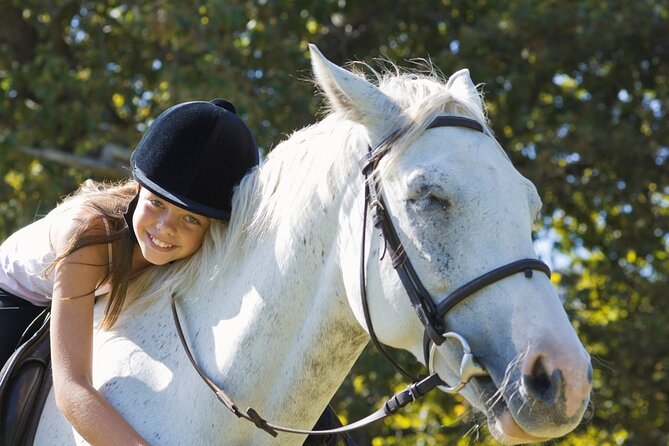 Private Horse Riding Tour in Luxor West Bank - Pickup Information