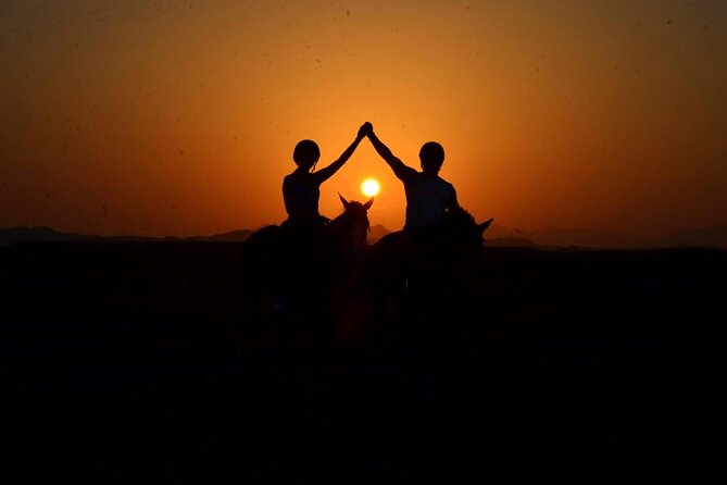 Private Horseback Riding in Marsa Alam and Port Ghalib